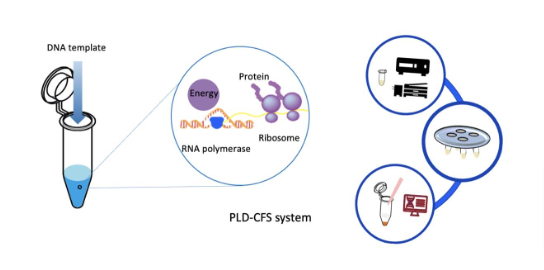 PLD-CFS System